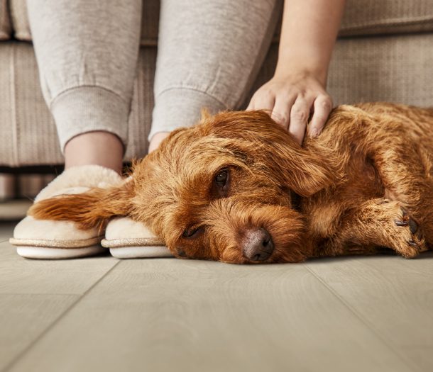 COREtec – pvc – naturals – 1500+++series – beige – sfeerfoto – hond – liggend